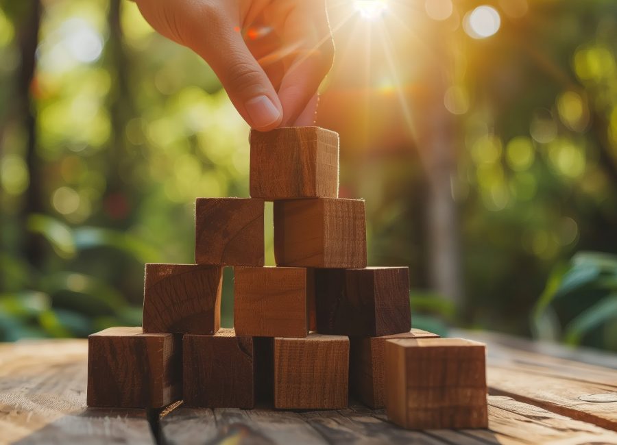 Wooden Blocks Pyramid Hand Building Concept